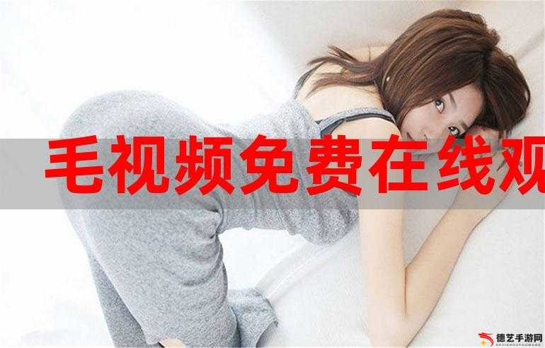 在线精品视频在线观看国内：满足您的多元观影需求