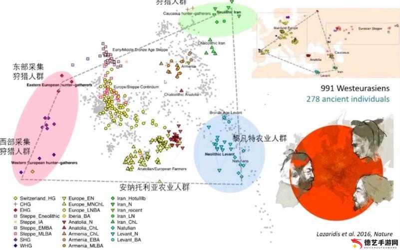 日本人与欧洲人 DNA 对比：差异与共性探究